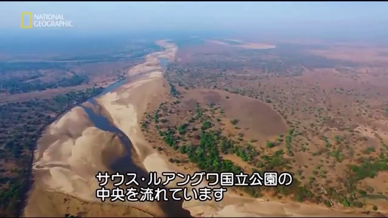 Lions King Beast - Africas Best Prey Hunters | Wild Big Cats 2018 Documentary