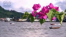 ブルネイ川と花＠rei8sakura