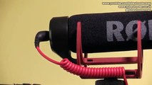 Review: Rode VideoMic GO (vs VideoMic Pro)