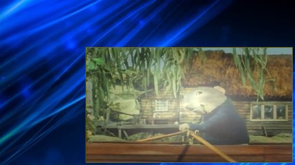 The Wind in the Willows S03E10 Unlikely Allies