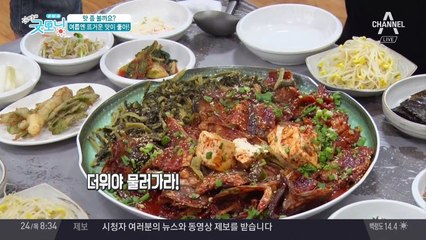 이열치열, 여름을 이기는 뜨거운 맛집 열전!