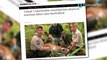 Puma serang manusia: kucing besar disuntik mati setelah serang pesepeda - TomoNews