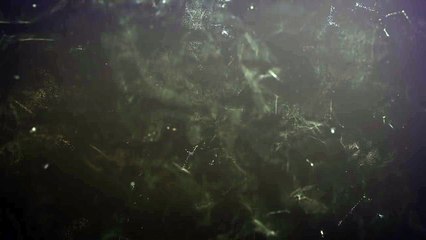 강원랜드이기는방법◁］〔⊙ KID16.TK ⊙〕［▷슈퍼카지노