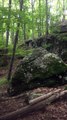 BRIAN GHILLIOTTI: EXPLORING LITHIC SITE ALONG CT I-395 SOUTH: LARGEST CLIFF EDGE STONE I DISCOVERED