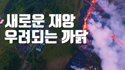 [자막뉴스] 하와이, '새로운 재앙' 우려되는 까닭 / YTN