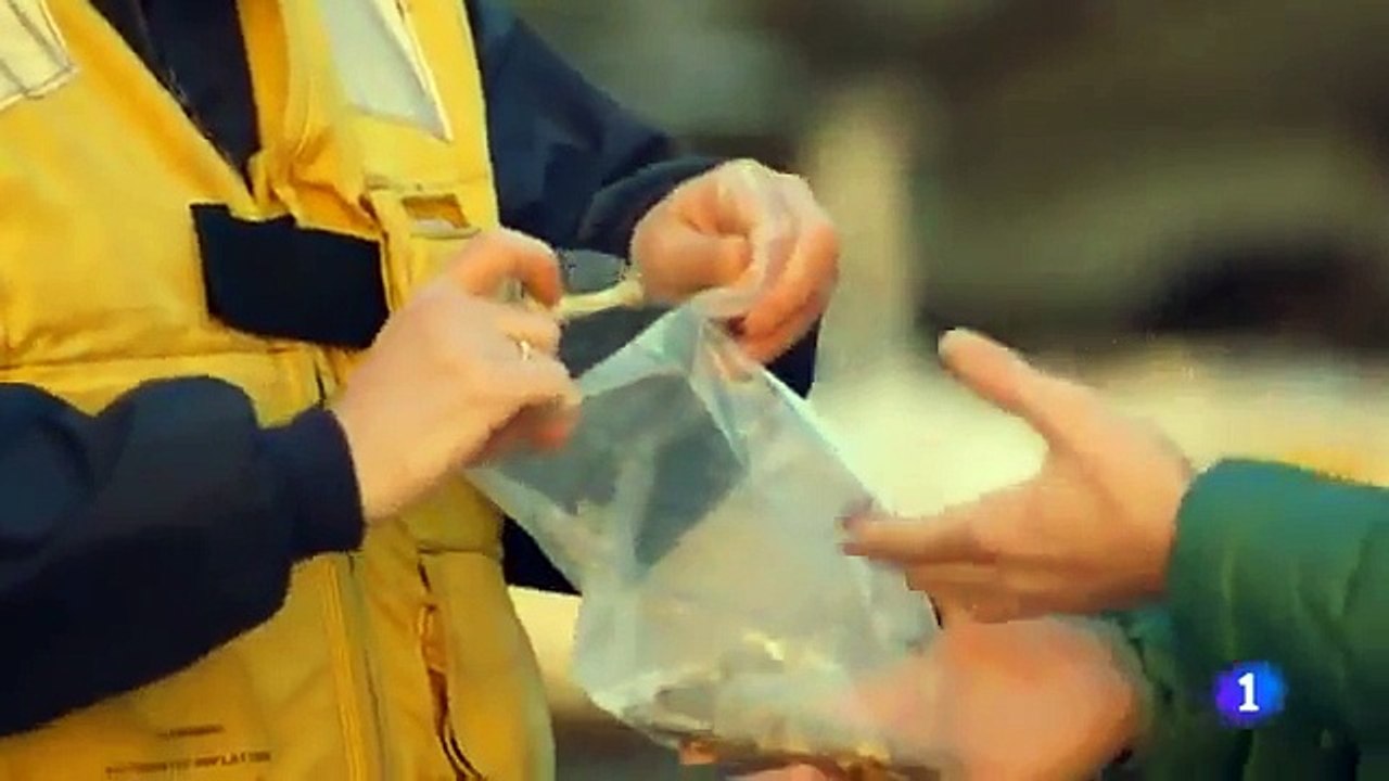 PORTAAVIONES LHD JUAN CARLOS I part 1/2