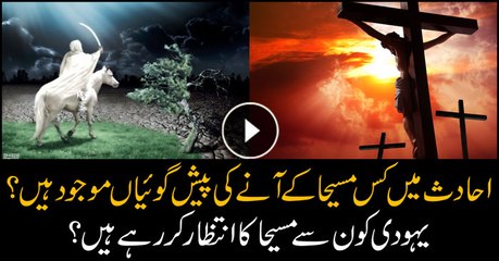 Prophecies in Hadith: Who Is the Awaited Savior?