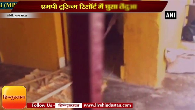 Leopard enters in MP tourism’s resort in Seoni