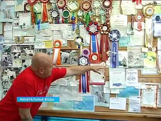 Король волкодавов