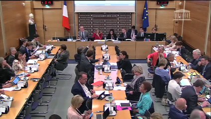 Commission des lois : Examen de projets et de propositions de lois - Mercredi 23 mai 2018