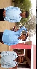 English, Urdu & Punjabi Translation