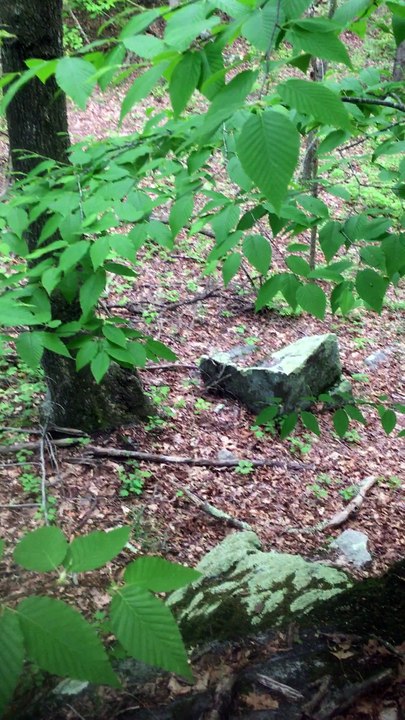 BRIAN GHILLIOTTI: EXPLORING LITHIC SITE ALONG CT I-395 SOUTH: DISCOVERY OF A LARGE PERCHED STONE