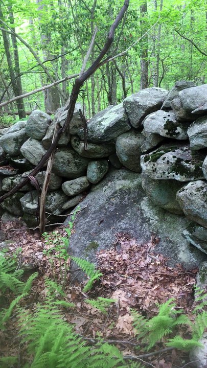 BRIAN GHILLIOTTI: EXPLORING LITHIC SITE ALONG CT I-395 SOUTH: WALLING OFF UNFARMABLE LAND