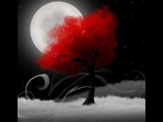 Taku Iwasaki - Talk to the moon