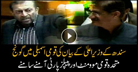 MQM-P slams Murad’s criticism of new province proponents