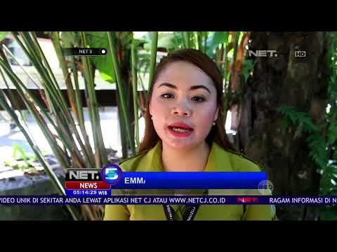 5 Ekor Satwa Langka Berhasil Disita Petugas -NET5