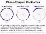 Phase-Coupled Oscillators
