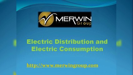 Electric Distribution and Electric Consumption -  www.merwingroup.com