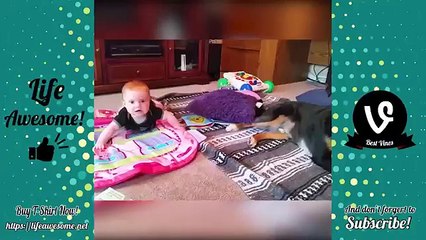 Funny videos Pretty babies with pet animals