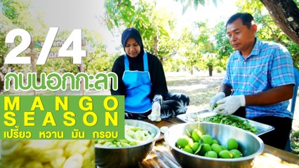 กบนอกกะลา : Mango season เปรี้ยว หวาน มัน กรอบ ช่วงที่ 2/4 (17 พ.ค.61)