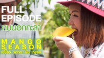 กบนอกกะลา : Mango season เปรี้ยว หวาน มัน กรอบ | FULL (17 พ.ค.61)