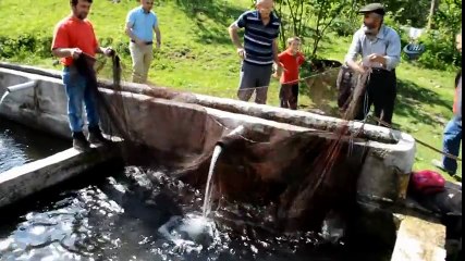 Hem Ev Hanımı, Hem de Balıkçı