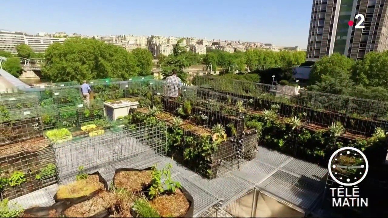 Conso - Potager urbain