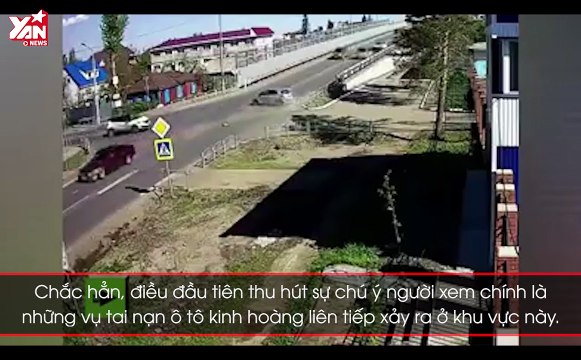 Clip hai chú chó dành cả thanh xuân hóng biến tai nạn giao thông khiến dân mạng cười rớt hàm