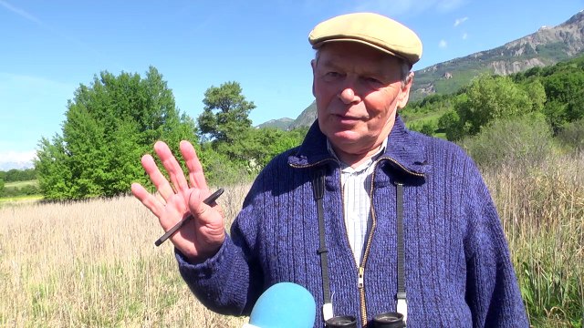 Hautes-Alpes / Fête de la Nature : les habitants ont levé les yeux et tendu l'oreille dans le marais de Chorges