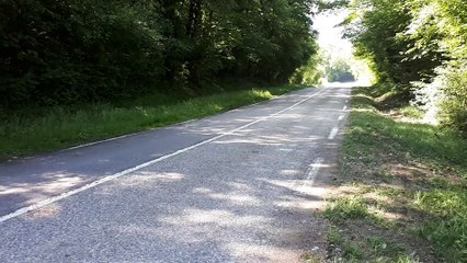 Un arbre tombe sur un camion à Desingy : le chauffeur tué