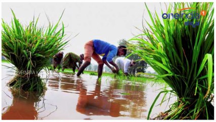 ಮೋದಿ ಸರ್ಕಾರಕ್ಕೆ ಮೇ 26ರಂದು 4 ವರ್ಷದ ಸಂಭ್ರಮ | ಇಲ್ಲಿದೆ ಮೋದಿ ಸರ್ಕಾರದ ಜರ್ನಿ  | Oneindia Kannada
