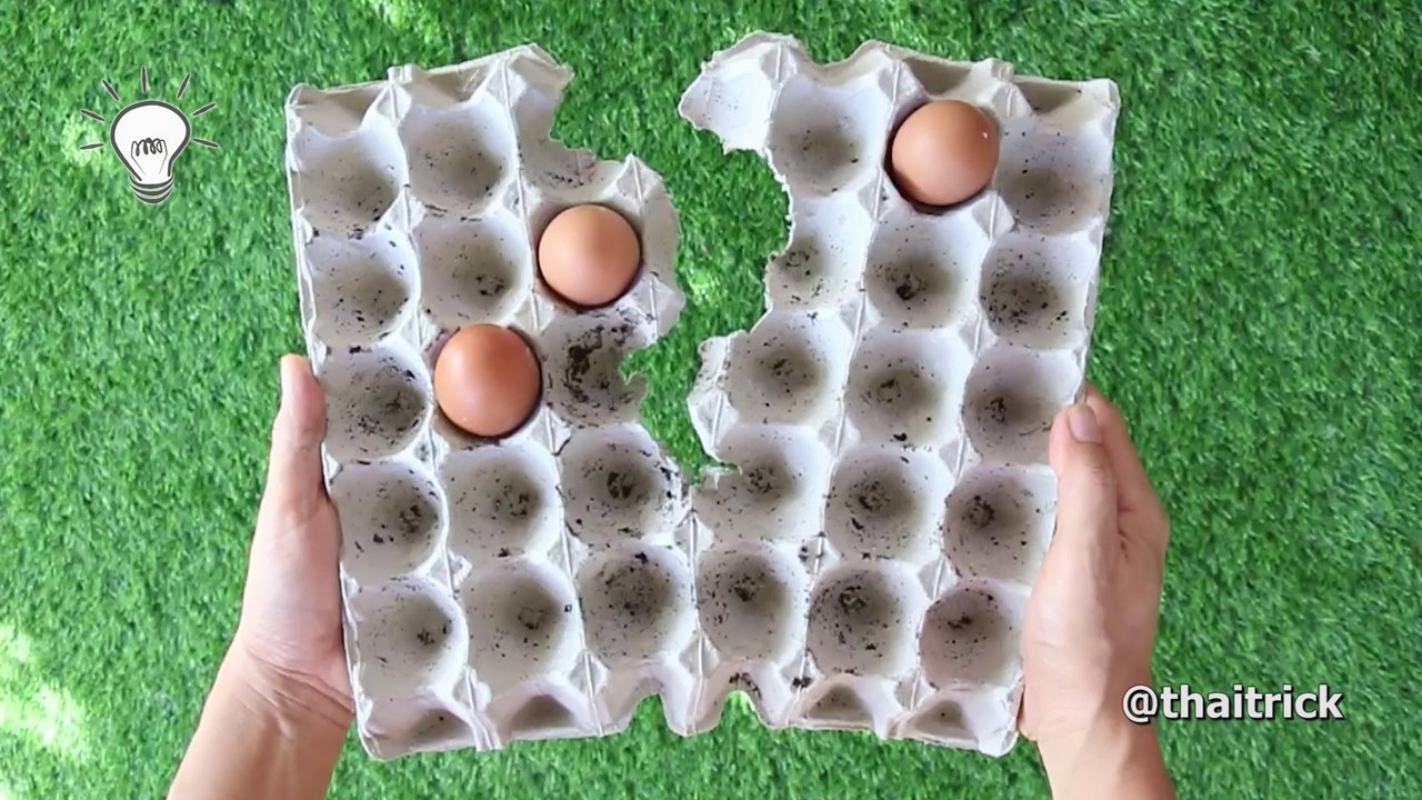 8 Creative Ideas With Egg Carton