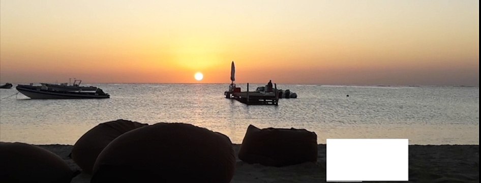 RED SEA DIVING SAFARI