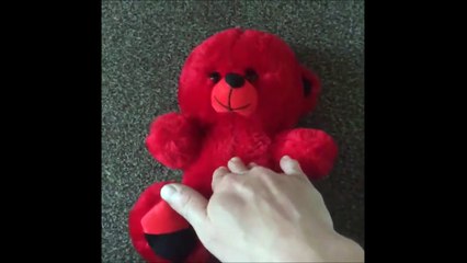 Cette peluche est vraiment bizarre...