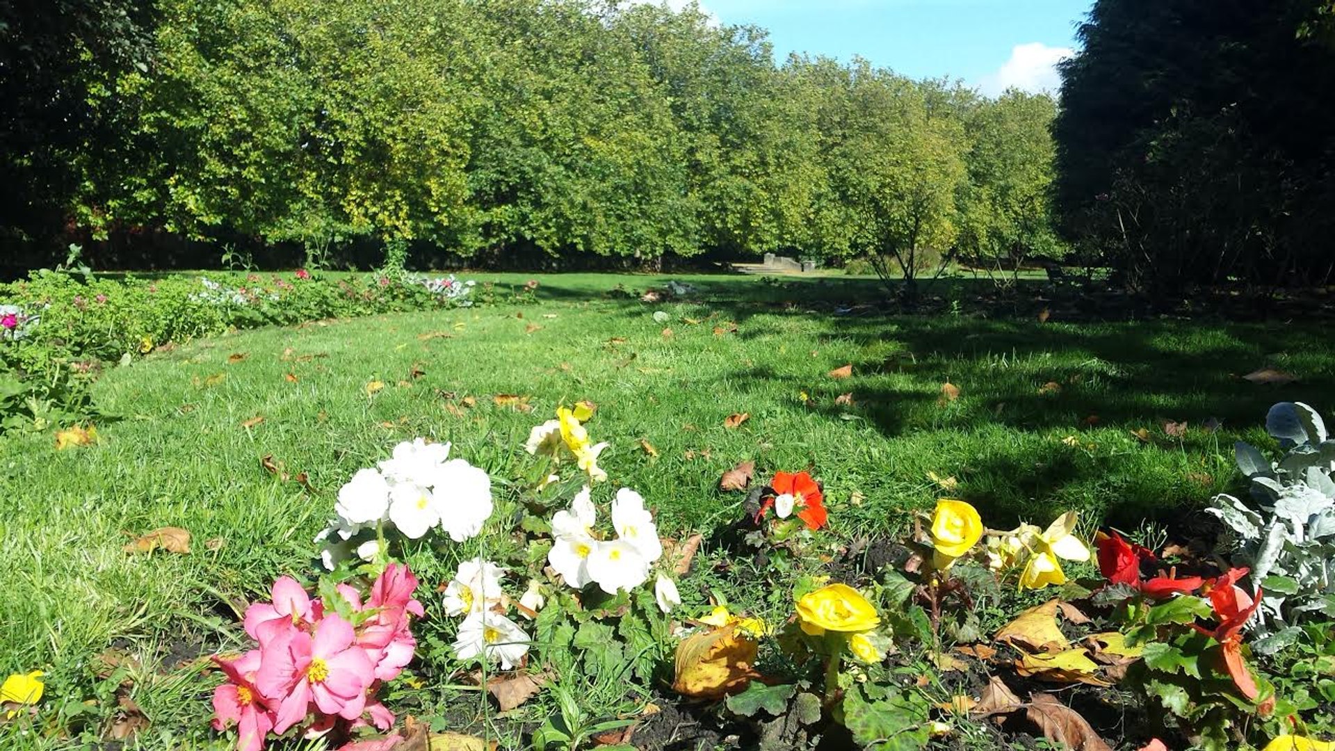 ⁣WEATHER: Your latest local outlook