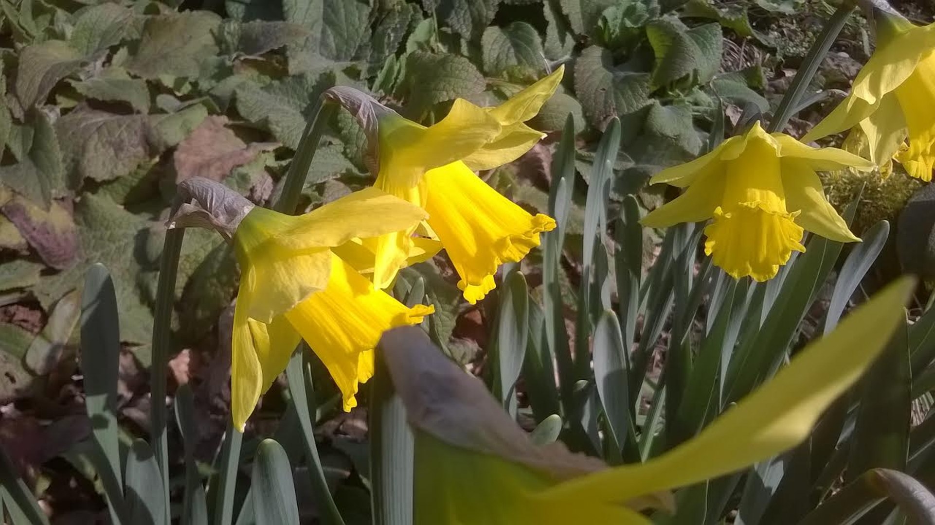 ⁣WEATHER: Your latest local outlook