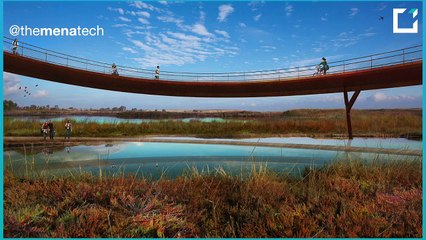 ما مصدر أسماء كبرى الشركات العالمية؟