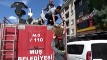 Yuvadan düşen yavru karga için seferberlik