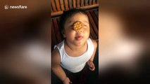 Toddler tries to eat biscuit balanced on her nose