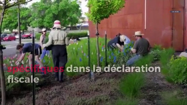 Comment intégrer les revenus tirés de l’économie collaboratives dans sa déclaration fiscale