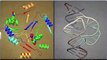 (6)CBSE Class 11 Biology, Biomolecules – 6, Introduction to Enzymes