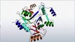 (7)CBSE Class 11 Biology, Biomolecules – 7, Chemical Conversions