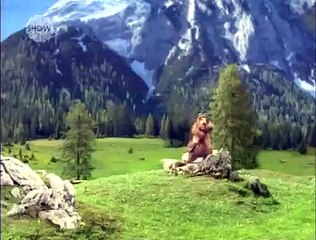 Milka m-joy Reklamı (Mart 2006)