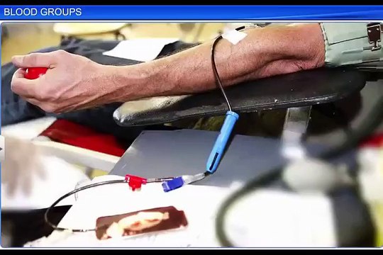 (2)CBSE Class 11 Biology, Body Fluids and Circulation – 2, Blood Groups