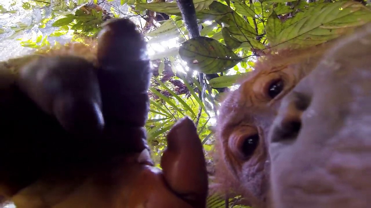 GoPro- HERO3+ Black Edition- Smaller, lighter, mightier still.