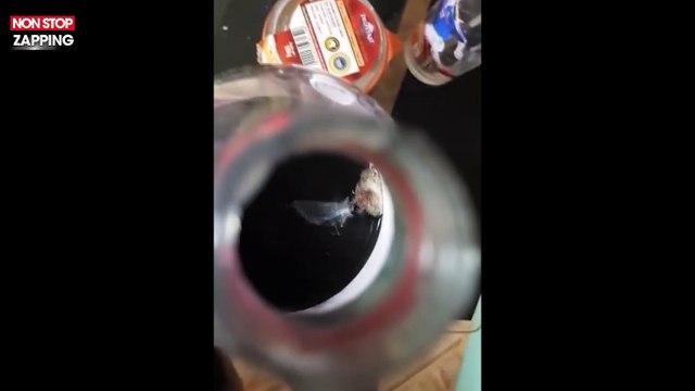 Il ouvre sa bouteille de coca-cola et trouve…une araignée (Vidéo)