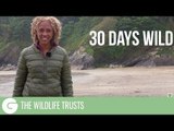 30 Days Wild | The Wildlife Trusts