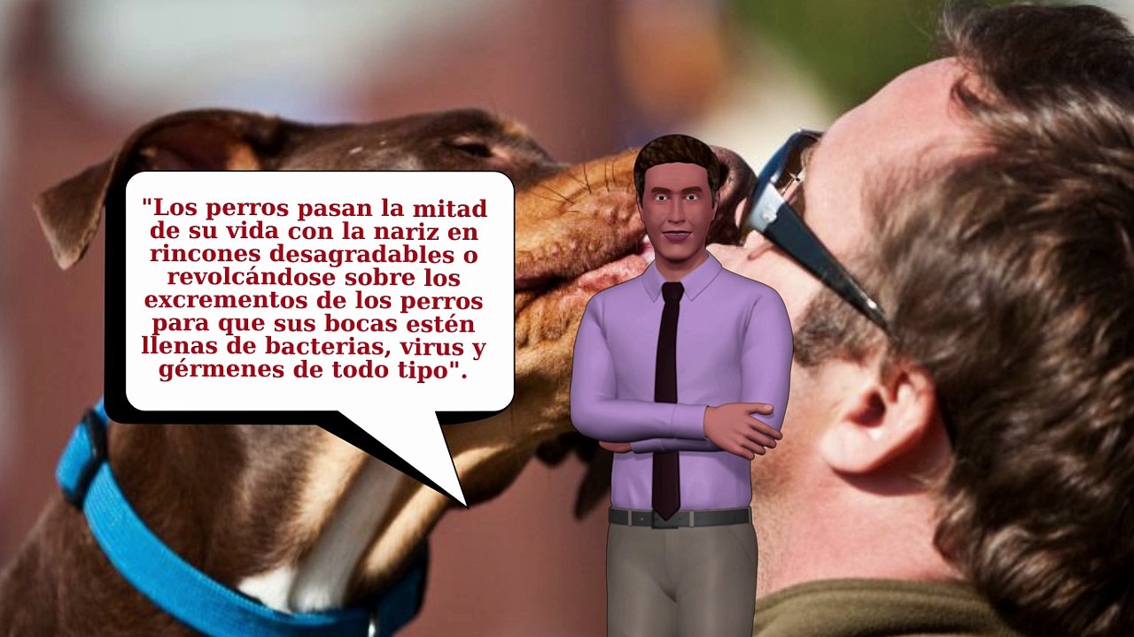 No Debes Dejar Que Los Perros Te Lamen La CaraLa Razón Mortal Por La Que No Debes Dejar Que Los Perros Te Lamen La Cara