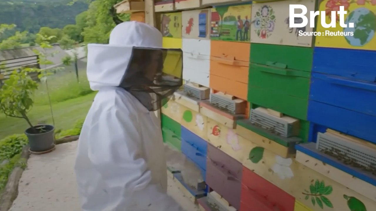 La Slovénie est un paradis pour les abeilles
