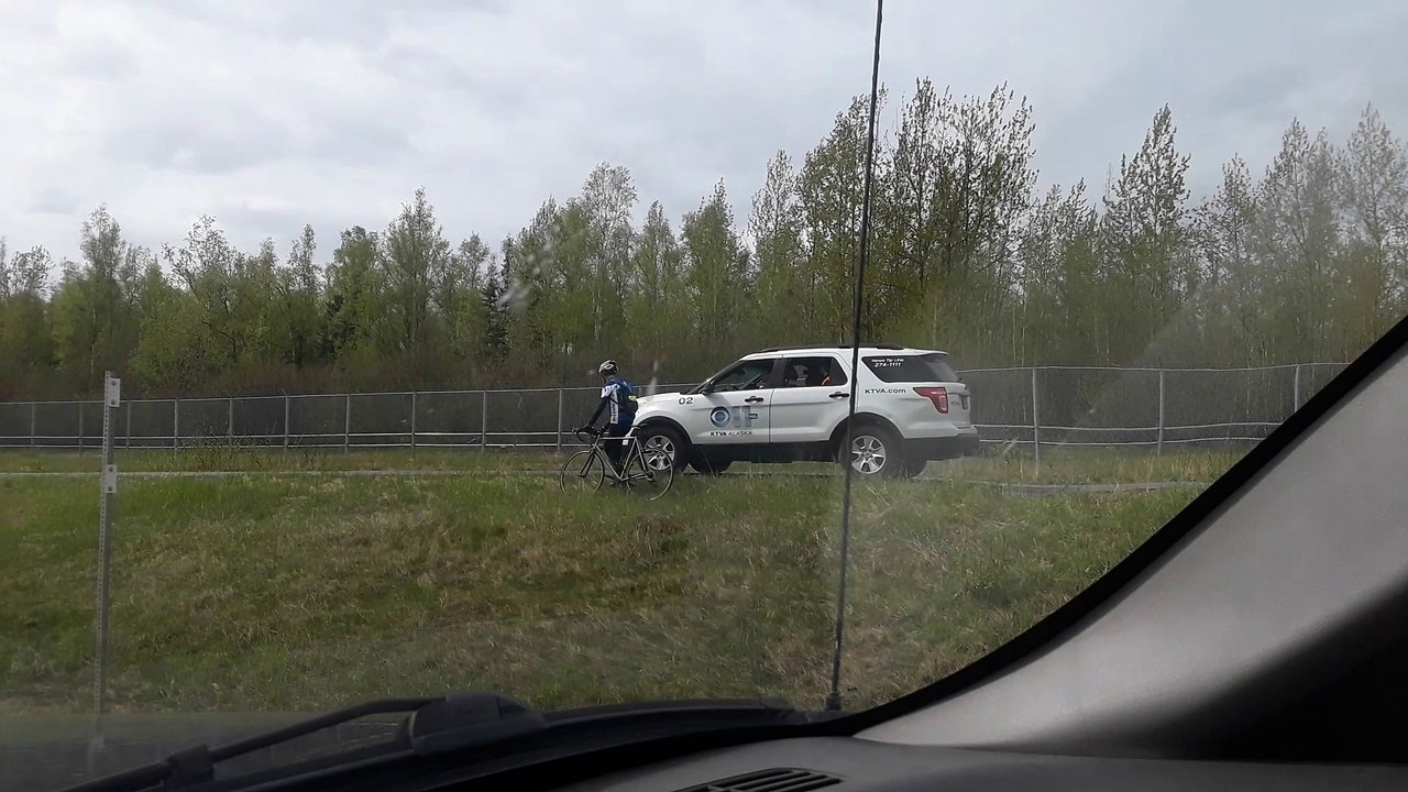 Moose Charges Car